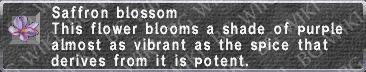 Saffron Blossom description.png