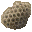 Peph. Hive Chip icon.png