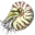 Nebimonite icon.png