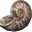 Nebimonite Bake icon.png