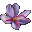 Saffron Blossom icon.png