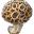 Scream Fungus icon.png