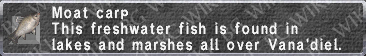 Moat Carp description.png