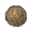 Moon Ball icon.png