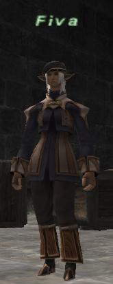 Fiva.jpg