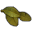 Bay Leaves icon.png