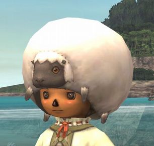 Sheep Cap Appearance.jpg