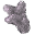 Coral Fragment icon.png