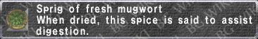 Fresh Mugwort description.png