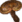 Reishi Mushroom icon.png