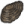 Shall Shell icon.png