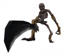 Category-Skeleton.jpg