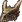 Minaruja Skull icon.png