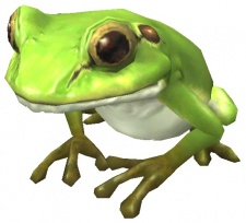 Category-Frog.jpg