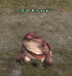 Sokrov.jpg