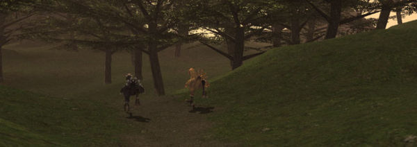 Dusk finds two chocobos racing in East Ronfaure, a familiar scene to chocobo breeders