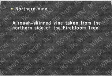 Northern vine