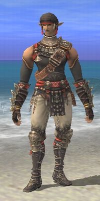 Ziamet Armor Set Appearance.jpg