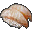 File:Bream Sushi icon.png