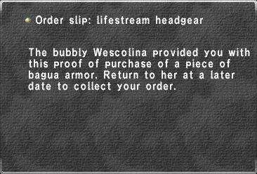 Order slip: lifestream headgear