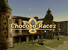 Choco races 1.jpg