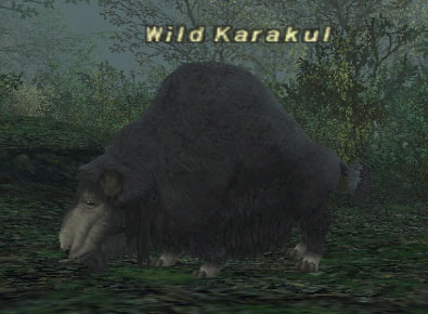 File:Wild Karakul.jpg