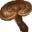 Reishi Mushroom icon.png