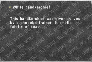 White handkerchief