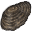 File:Shall Shell icon.png