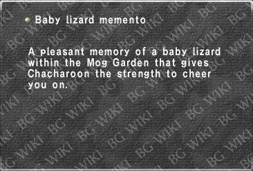 Baby lizard memento