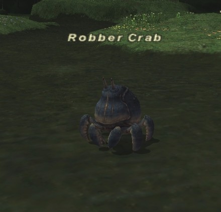 File:Robber crab.jpg