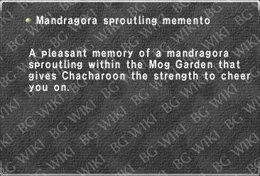 Mandragora sproutling memento