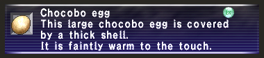 Faintly warm egg.jpg