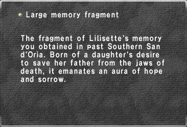 Large memory fragment (2)