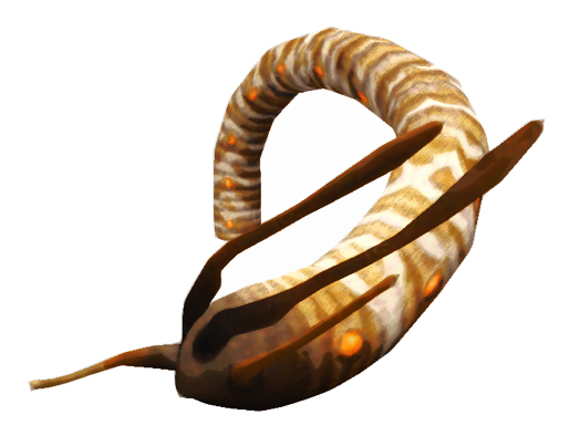 File:Category-Worm.jpg