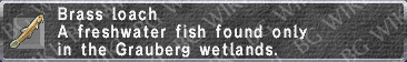 Brass Loach description.png