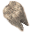 Decaying Molar icon.png