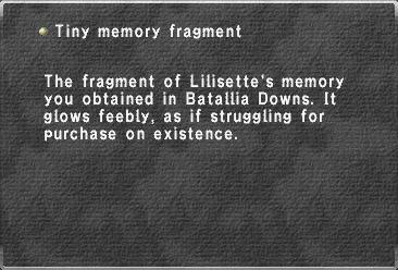 File:Tiny memory fragment (3).jpg