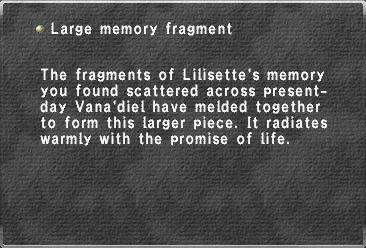 Large memory fragment (1)