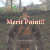 File:Merit Point Icon.png