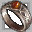 File:Feral Ring icon.png