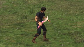 Aern Dagger II Appearance.jpg