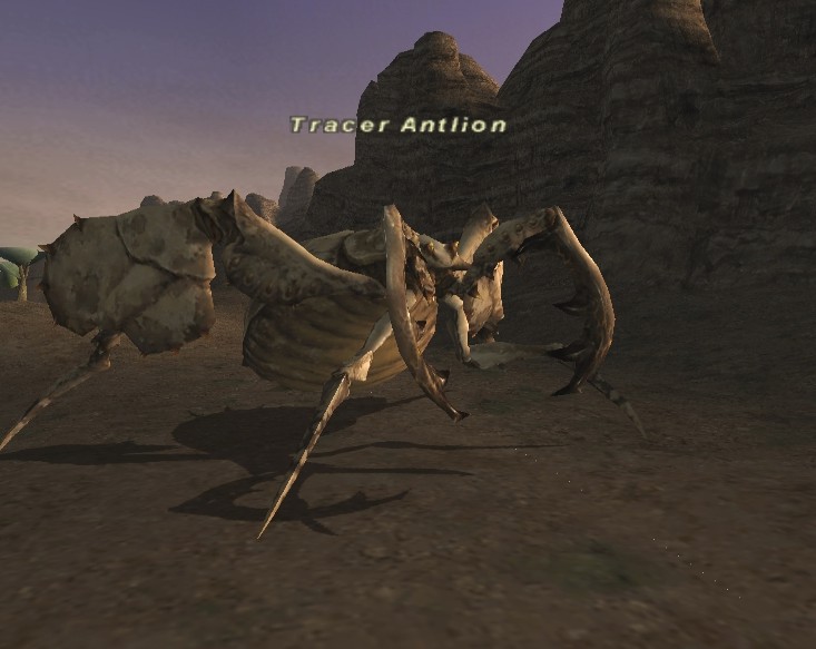 File:Tracer Antlion.jpg