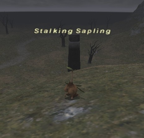 File:Stalking Sapling.jpg