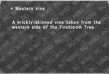 Western vine