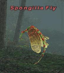 File:Spongilla Fly.jpg