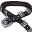 File:Toxon Belt icon.png