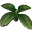 File:4Leaf Mandra Bud icon.png