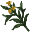 Papaka Grass icon.png