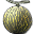 Wild Melon icon.png